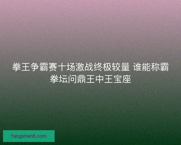 拳王争霸赛十场激战终极较量 谁能称霸拳坛问鼎王中王宝座