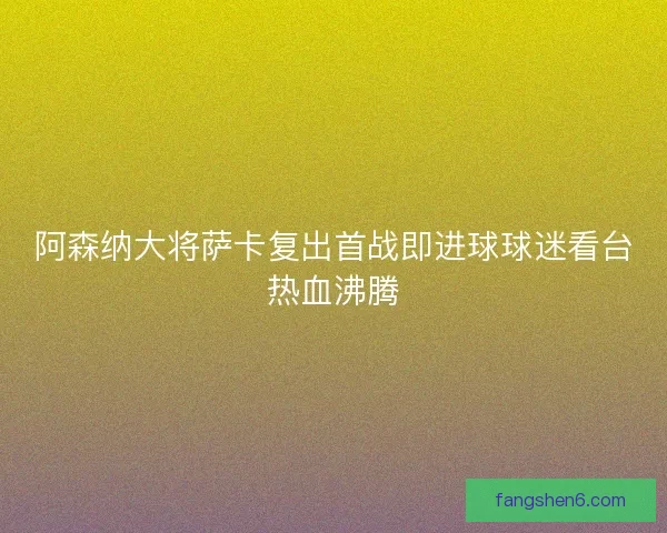 阿森纳大将萨卡复出首战即进球球迷看台热血沸腾