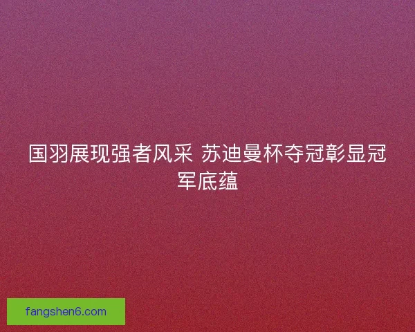国羽展现强者风采 苏迪曼杯夺冠彰显冠军底蕴